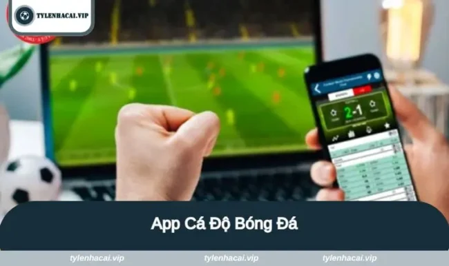 app ca do bong da avt