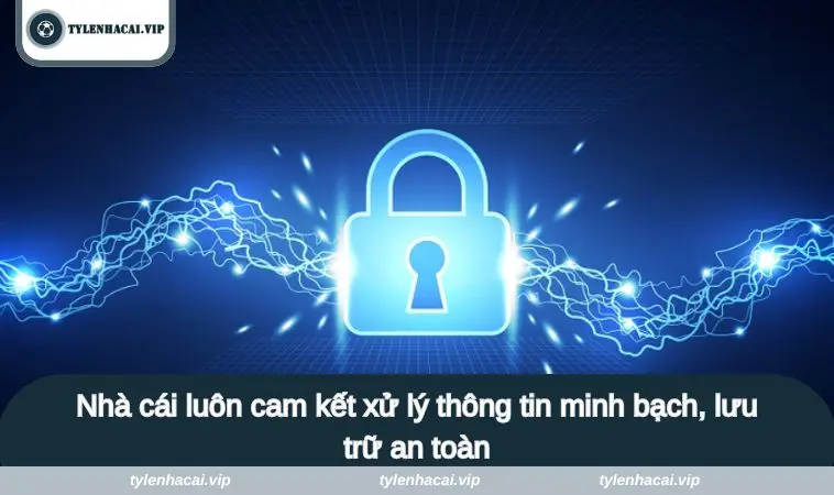 Nhà cái luôn cam kết xử lý thông tin minh bạch, lưu trữ an toàn