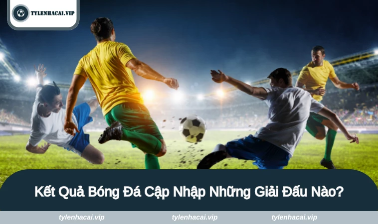 Những giải đấu lớn nhỏ được cập nhập liên tục